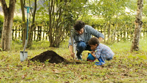Close-up.-Portrait-of-a-little-boy-and-his-dad-planting-a-tree.-Man-holds-the-tree-ans-the-boy-puts-puts-some-soil-on-the-roots.-Then---stands-up.-Blurred-background